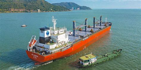 Clarksons Time Will Be A Healer For Bulkers As Fleet Slows Down And