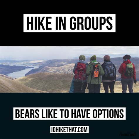 Hike In Groups Bears Like To Have Options Funny Hiking Meme Hiking