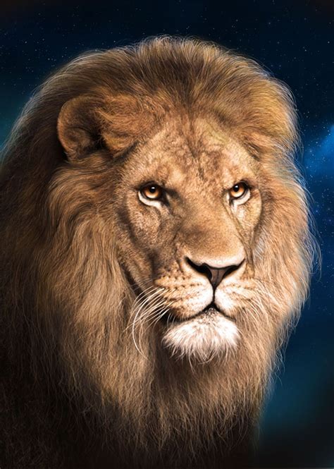 Lion 3d Image View In My Space Chrsnn