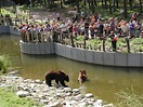 Wildpark-MV - Tourismusportal Barlachstadt Güstrow