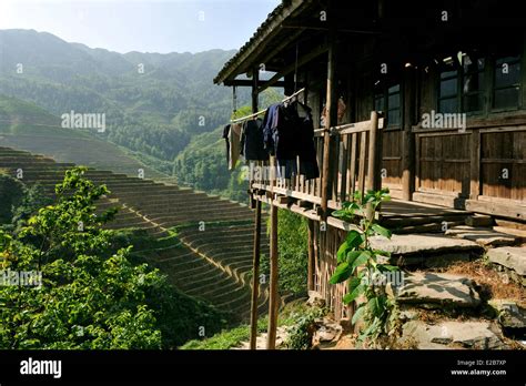 China Guangxi Province Longsheng Rice Terraces At Longji Tian Tou