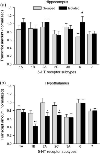 Social Isolation And Expression Of Serotonergic Neurotransmission