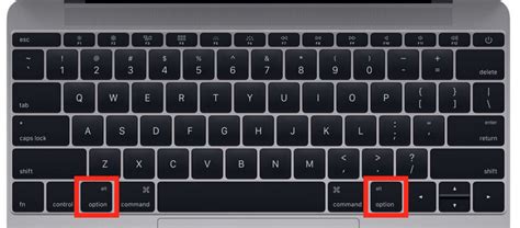 Qual'è il tasto Opzione sulla tastiera dei Mac? | MelaRumors