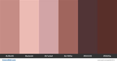 Human Skin Tone Color Palette Colorswall