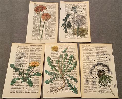 Dandelion Flower Themed Dictionary Prints Etsy