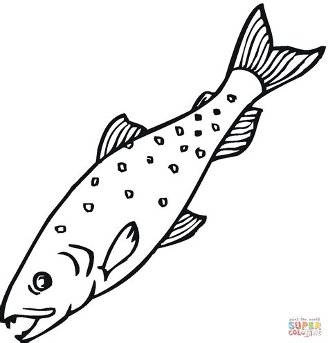 In australia salmon is mostly orange. Salmon 13 coloring page | SuperColoring.com