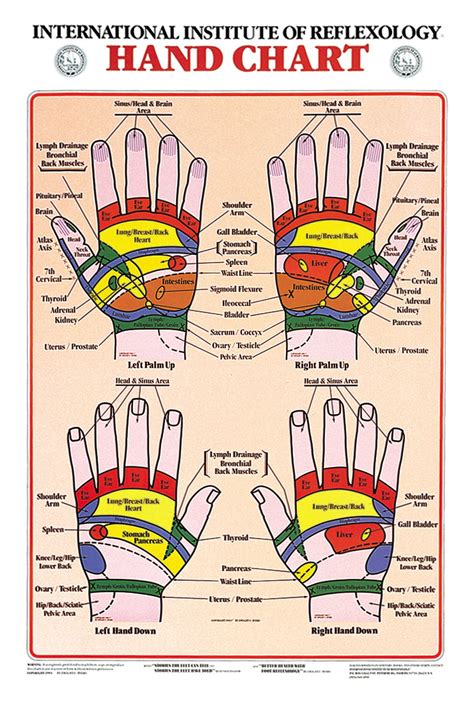 Hand Reflexology Wall Chart 17 X 31