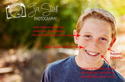 Tia Stout Photography Did You Knowscience Behind A Smile
