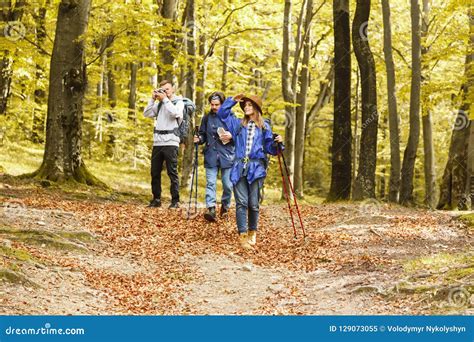 Hiking Friends Walking On The Forest Stock Image Image Of People