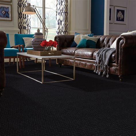 Anso Nylon Carpet From Shaw Shaw Floors