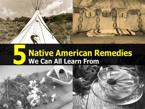 5 native american remedies we can all learn from
