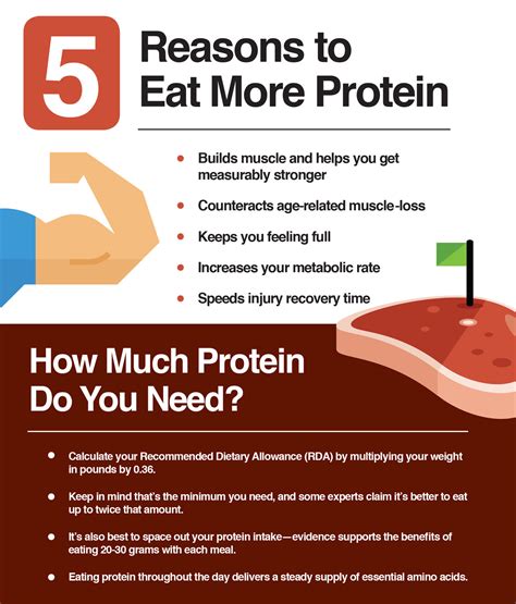 Top Ways To Add More Protein To Your Day From Morning To Night The