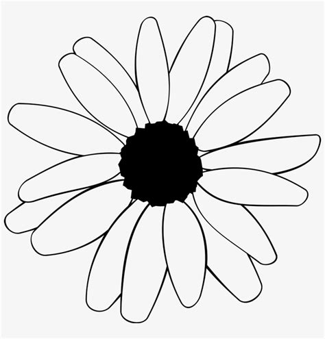 Black And White Daisy Outline