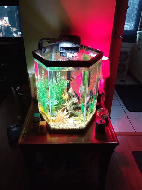 40 Gallon Fish Tank Light Filter Air Pump Included Needs Lid For Sale