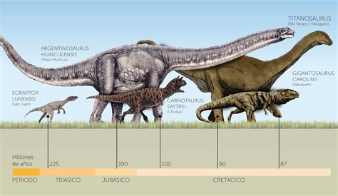 The Dinosaur Facts You Want To Know Page Activly