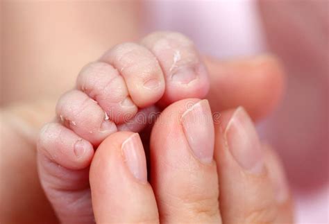 Foot Of Newborn Baby Stock Photo Image Of Innocent Childcare 16254290