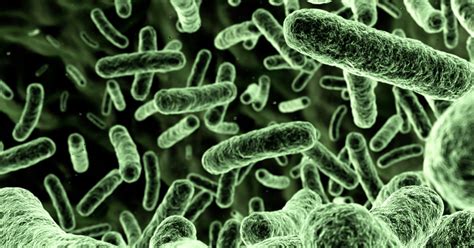 What To Know About Flesh Eating Bacteria Infections
