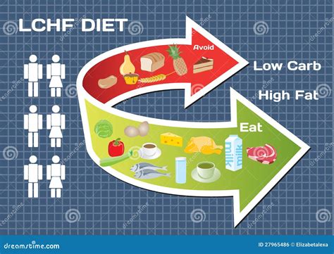 Diet Low Carb High Fat Lchf Royalty Free Stock Image Image 27965486