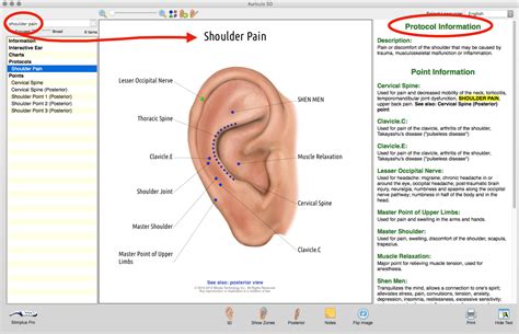 Ear Acupuncture Wins Acupuncture Technology News