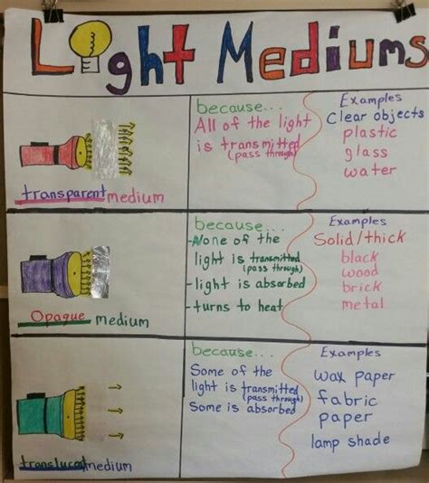 141 Best Images About Science Anchor Charts On Pinterest