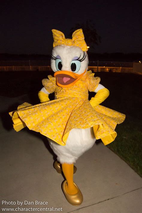 Daisy Duck At Disney Character Central Daisy Duck Disney World