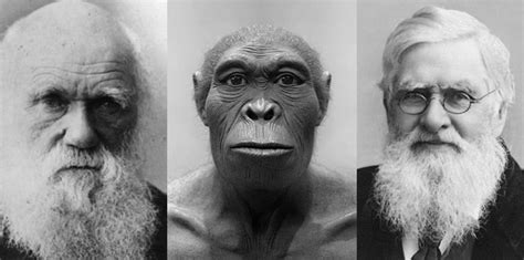 Human Evolution | FifteenEightyFour | Cambridge University Press