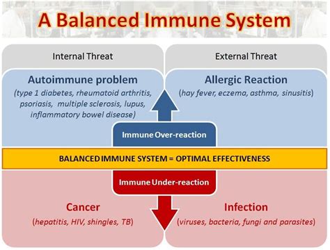 Immune System Human Body Systems