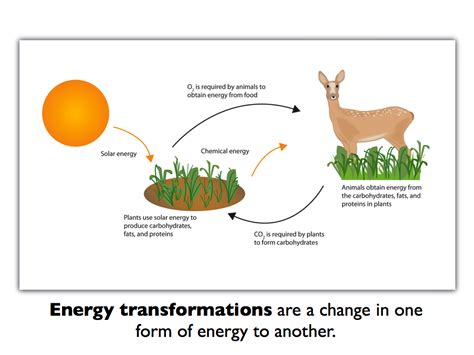 39 Energy Transformation Worksheet Middle School Worksheet Works