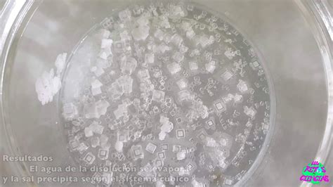 Cristalización De Sal Común Cloruro De Sodio Youtube