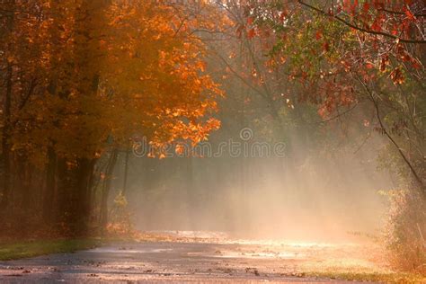Misty Autumn Landscape Stock Image Image Of Forest Fall 15749245