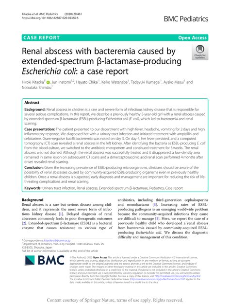 Pdf Renal Abscess With Bacteremia Caused By Extended Spectrum β