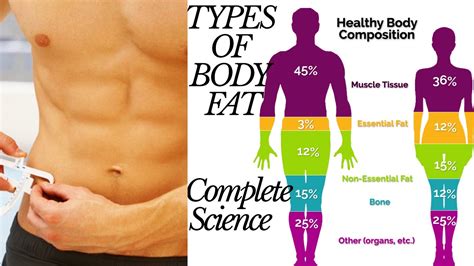 Types Of Body Fat How To Get Rid Of Body Fat Fitness Basics Youtube