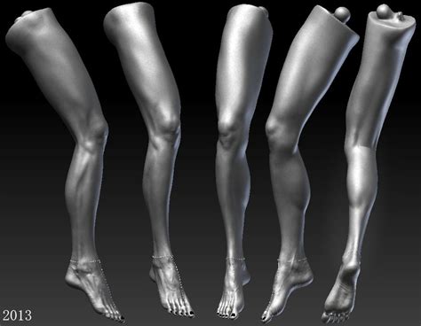 Anatomy Study Womans Leg By Anatolb On Deviantart