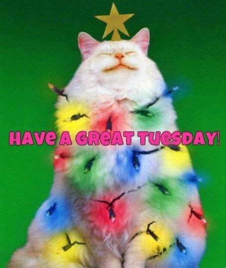 Have A Great Tuesday Pictures Photos And Images For Facebook Tumblr