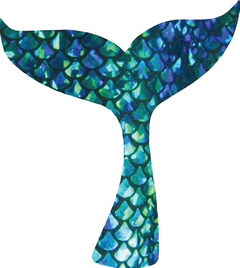 Mermaidtail Mermaid Mermaidgirl Mermaidlife Seashellsst Clip Art