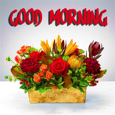 Good Morning Beautiful Flowers Images Hd 199 Good Morning Flower