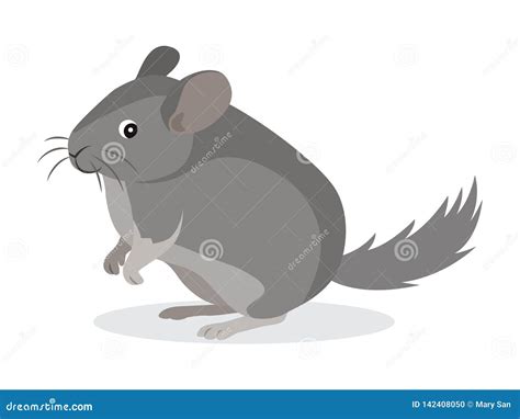Cute Gray Chinchilla Icon Fluffy Pet Domestic Animal Rodent Vector