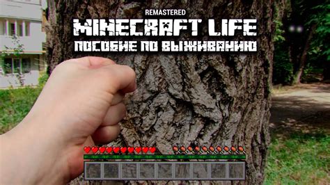 Minecraft Life Пособие по выживанию Майнкрафт в реальной жизни