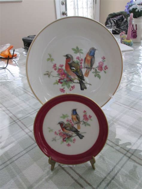 Two Vintage Kaiser Porcelain Song Birds Plates With Same Image 75