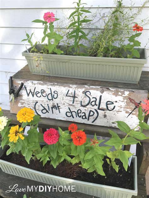 The garden is a great place to implement habits that help keep our planet healthy, one project at a time. Weeds for Sale - Dirt Cheap! A Fun Garden Sign - Love My ...