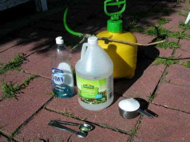 You need to get rid of lawn weed but have pets at home? Organic Homemade Weed Killer Recipe - Frugal Living for Life