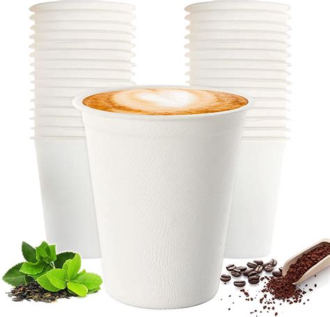 100 Biodegradable 16oz Bagasse Sugarcane Paper Pulp Disposable Coffee