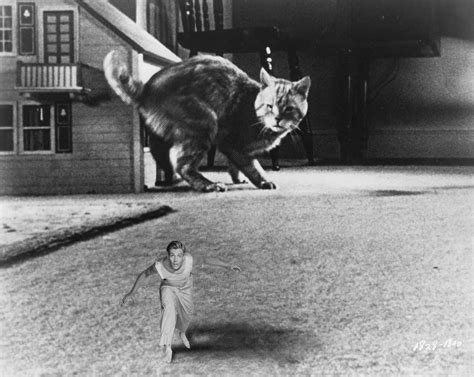 Coming Soon ‘the Incredible Shrinking Man Special Edition Blu Ray