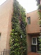 Pareti Verdi - Brescia - Residenza Privata - Sandrini Green Architecture