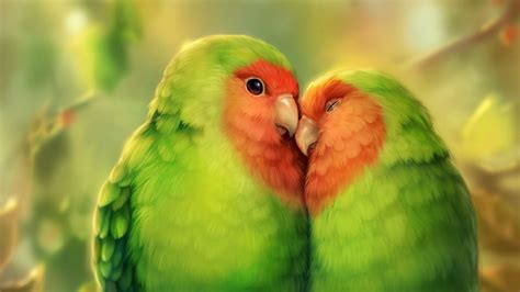 Download Wallpaper 1600x900 Parrots Birds Romance Cute Art Widescreen 169 Hd Background