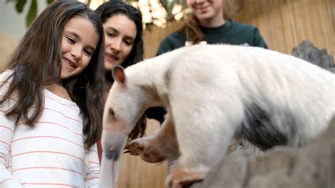 Farm Babies At The Minnesota Zoo Youtube