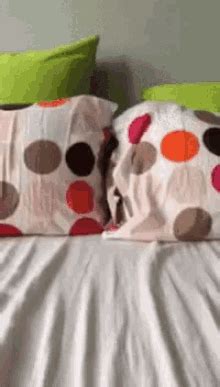 Cat Pillow Gif Cat Pillow Discover Share Gifs