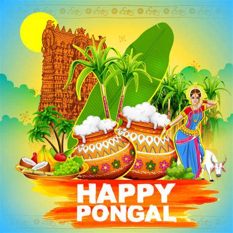 History Of Pongal Festival What Where When How