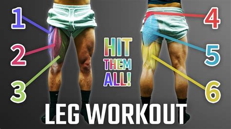 The Best Science Based Leg Day For Growth Quads Glutes Hamstrings