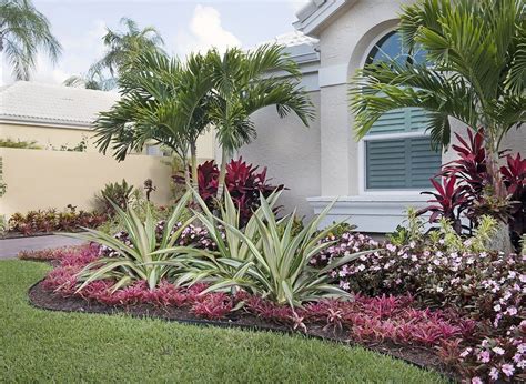 The ti plant is a true tropical and will grow outside only in u.s. Landscape Designer Palm Beach Gardens - Masters Degree in ...